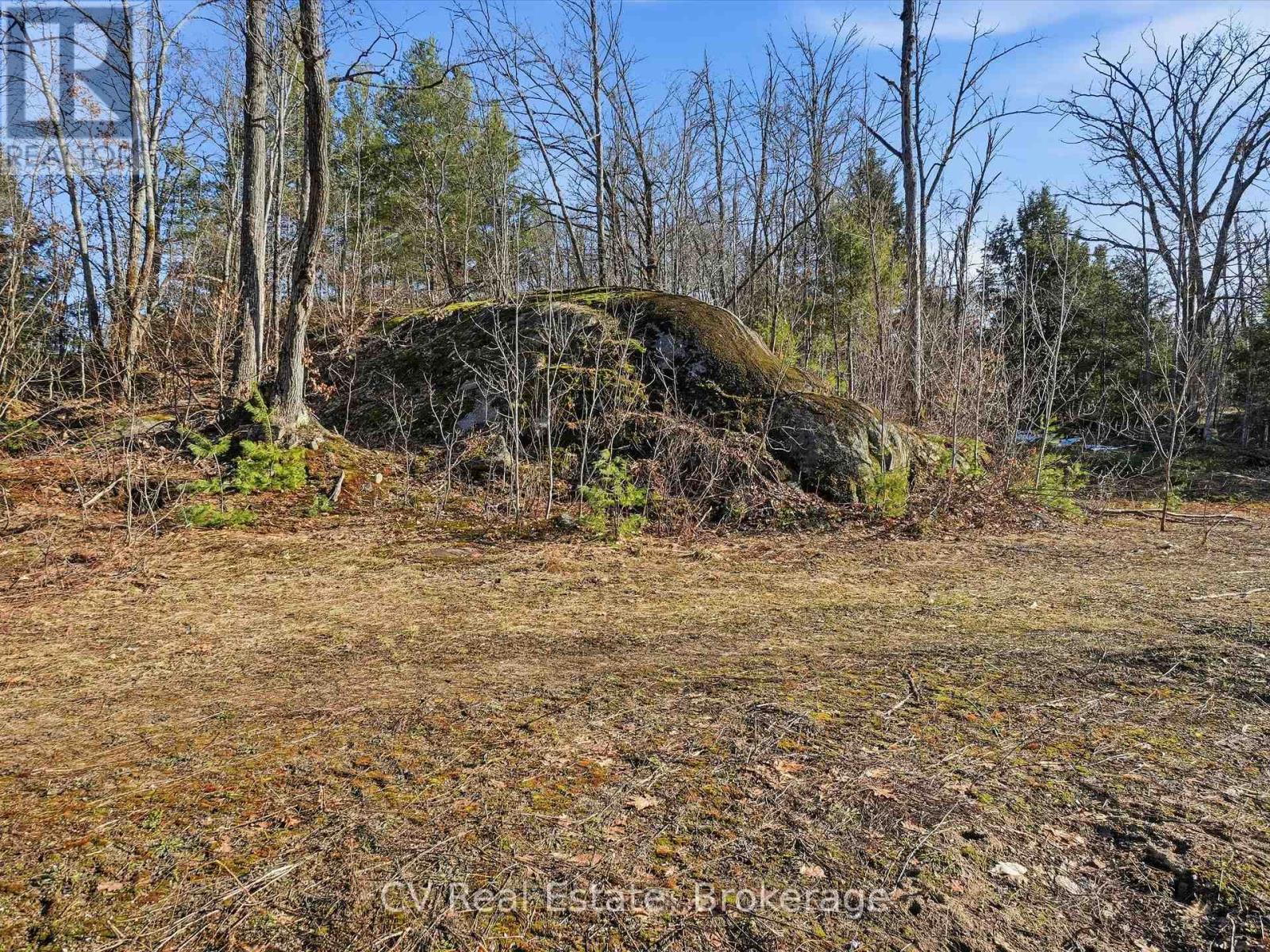 1670 Muskoka Rd 38, Muskoka Lakes, Ontario P0C 1A0 - Photo 43 - X13037842