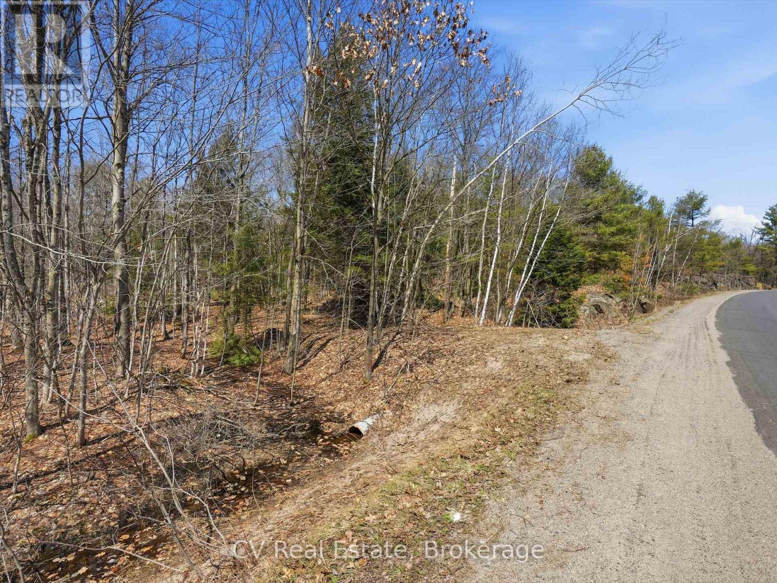1670 Muskoka Rd 38, Muskoka Lakes, Ontario P0C 1A0 - Photo 5 - X13037842