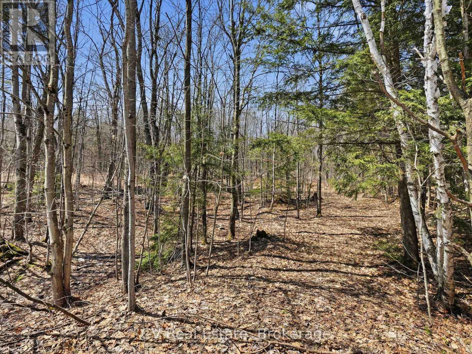 1670 Muskoka Rd 38, Muskoka Lakes, Ontario P0C 1A0 - Photo 6 - X13037842