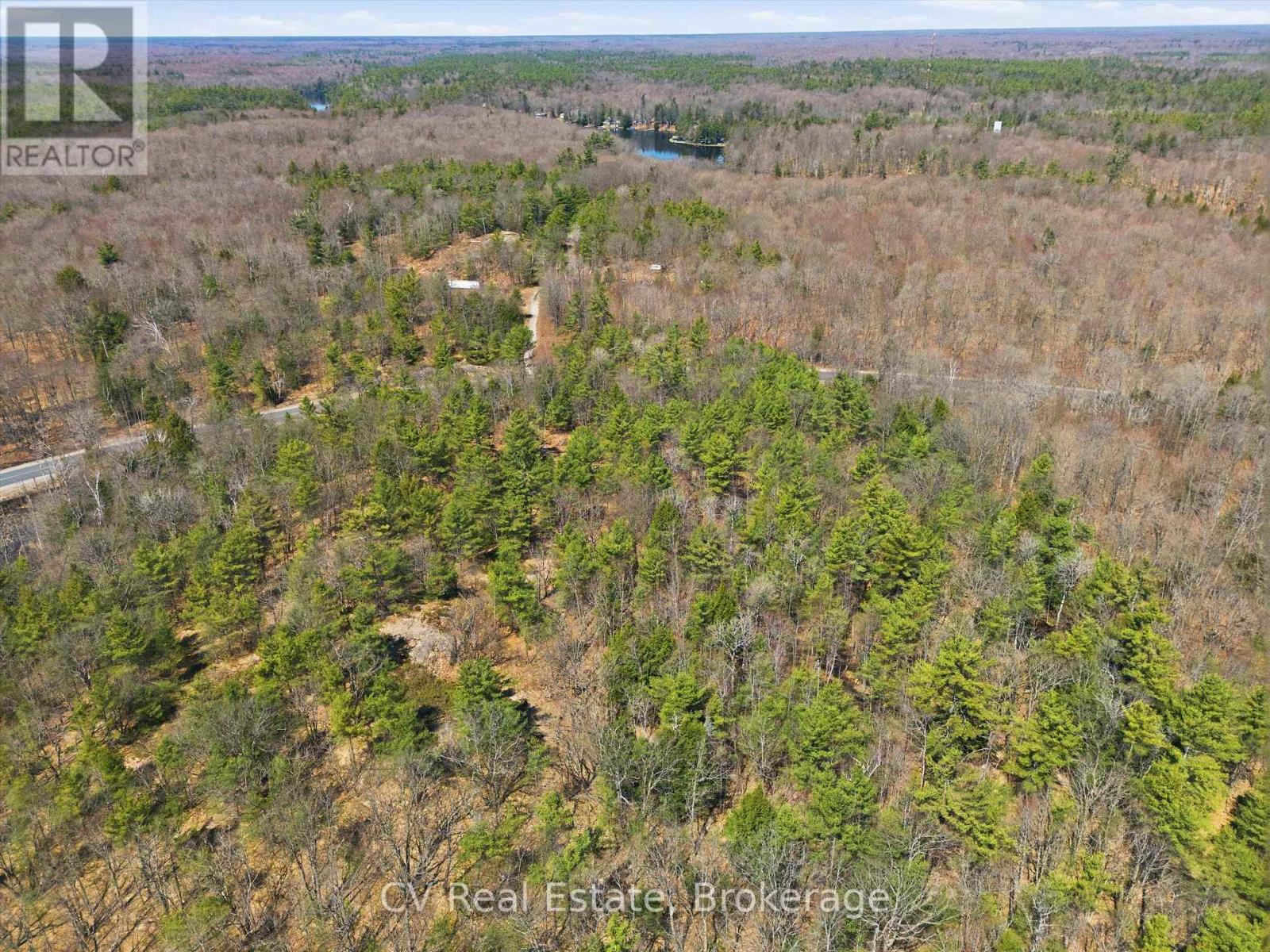 1671 Muskoka Rd 38, Muskoka Lakes, Ontario P0C 1A0 - Photo 10 - X13037850