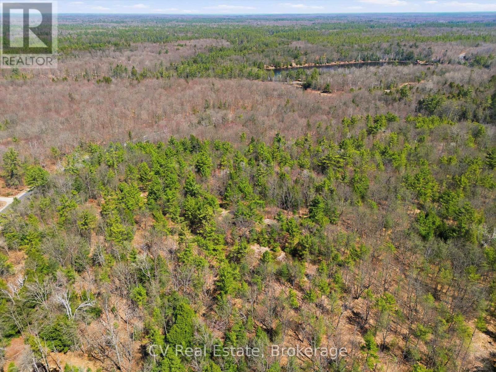 1671 Muskoka Rd 38, Muskoka Lakes, Ontario P0C 1A0 - Photo 11 - X13037850