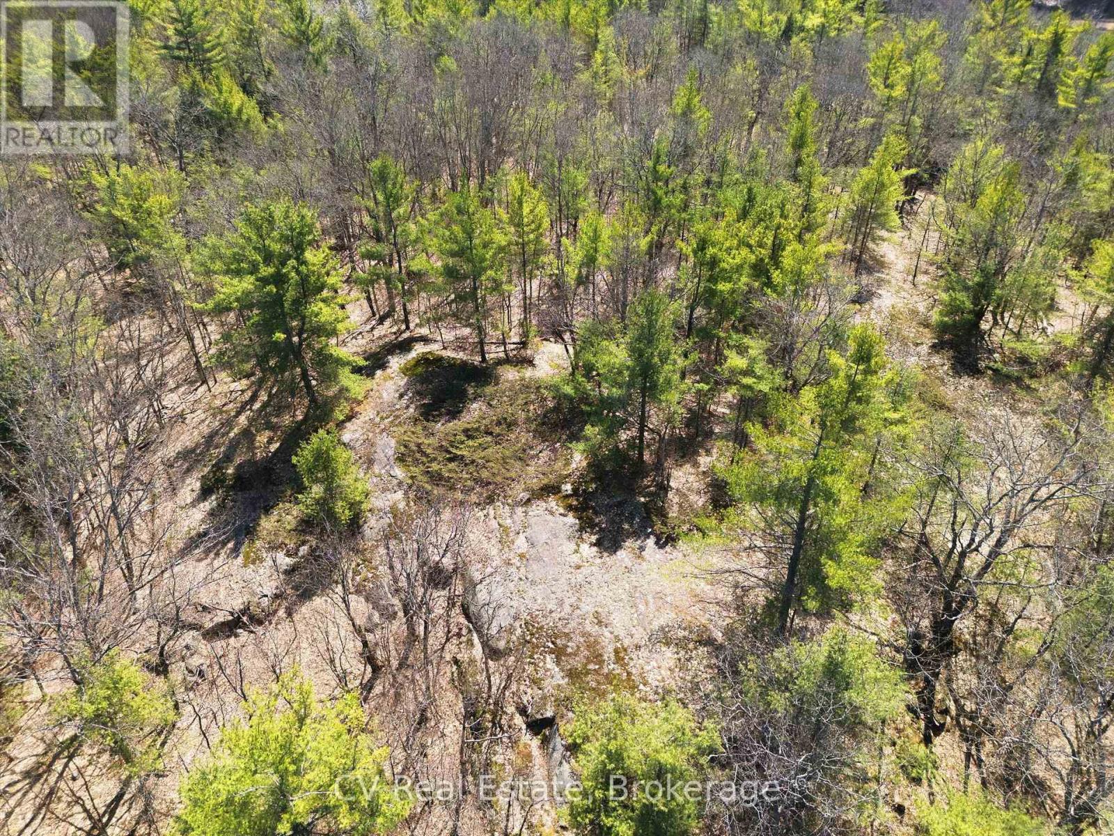 1671 Muskoka Rd 38, Muskoka Lakes, Ontario P0C 1A0 - Photo 14 - X13037850