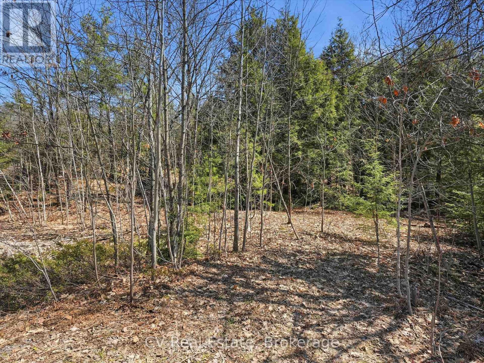 1671 Muskoka Rd 38, Muskoka Lakes, Ontario P0C 1A0 - Photo 15 - X13037850