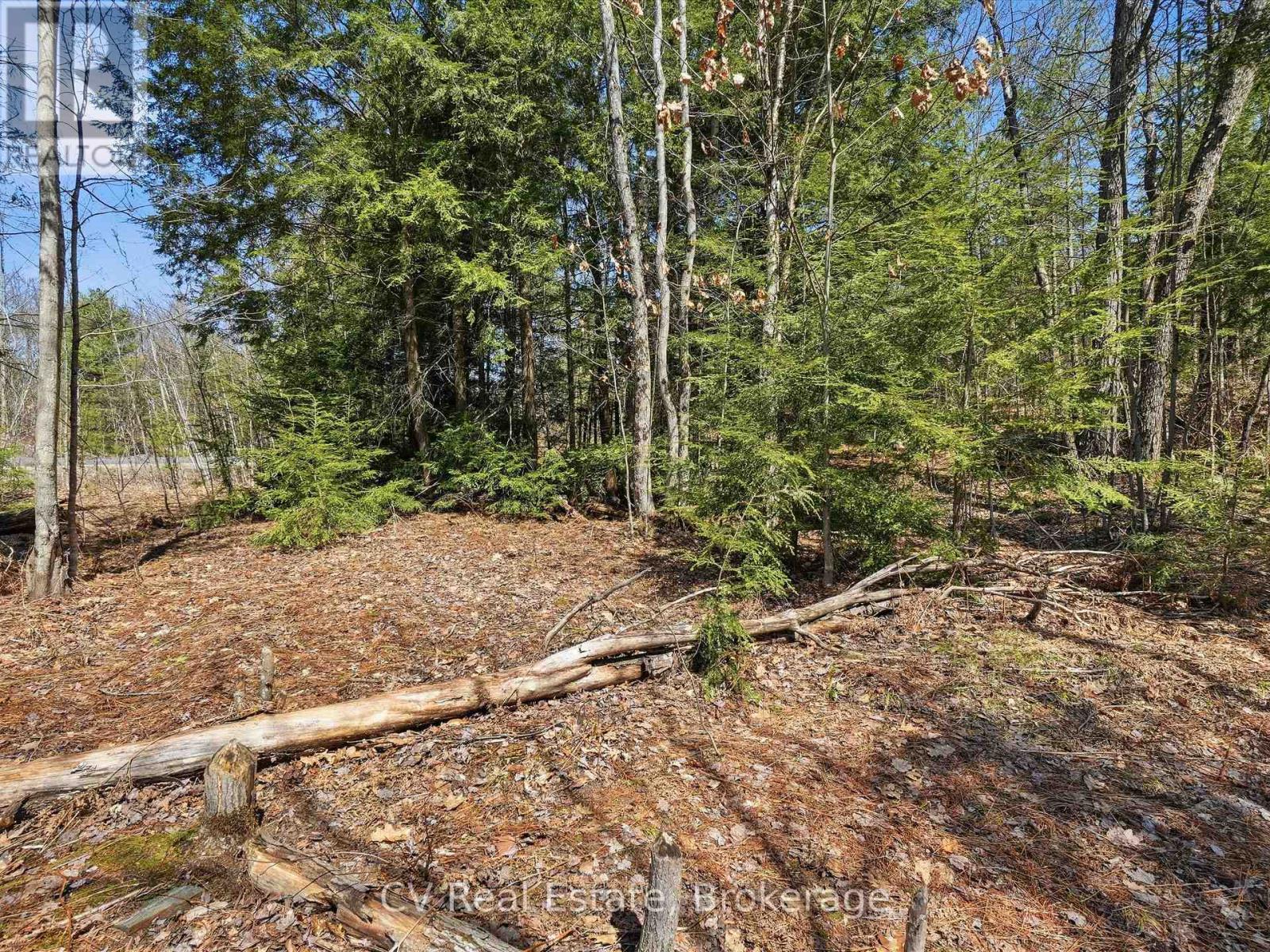 1671 Muskoka Rd 38, Muskoka Lakes, Ontario P0C 1A0 - Photo 16 - X13037850