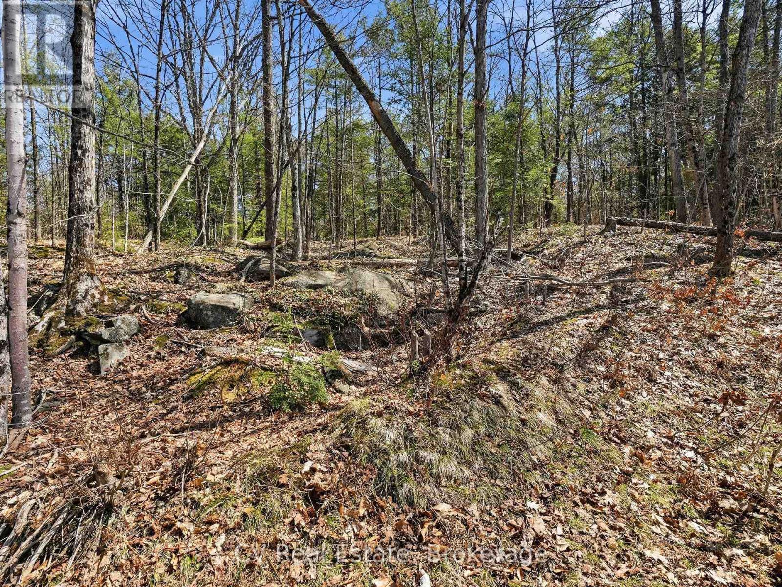 1671 Muskoka Rd 38, Muskoka Lakes, Ontario P0C 1A0 - Photo 17 - X13037850
