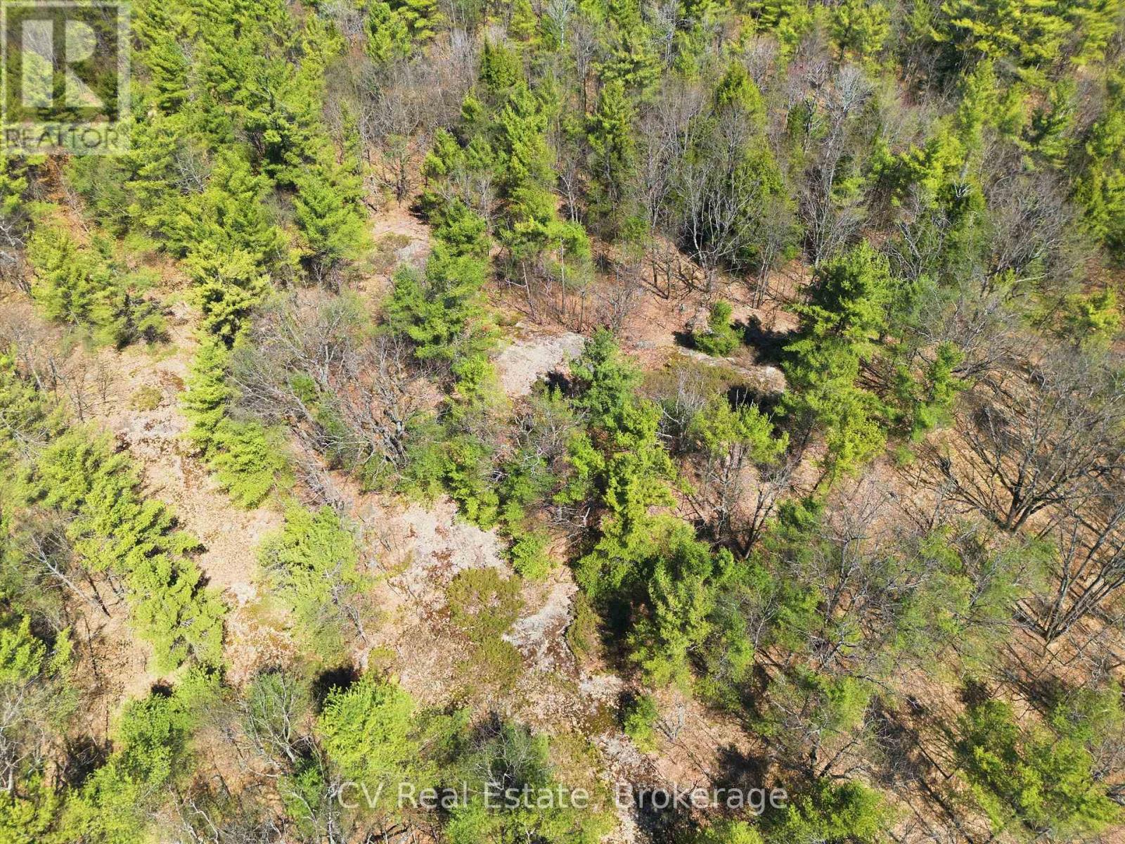 1671 Muskoka Rd 38, Muskoka Lakes, Ontario P0C 1A0 - Photo 18 - X13037850