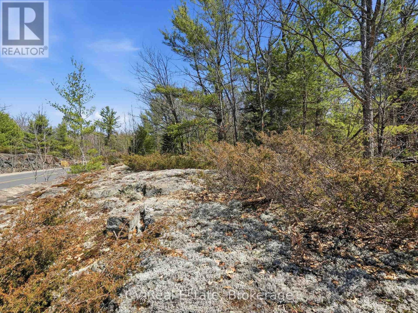 1671 Muskoka Rd 38, Muskoka Lakes, Ontario P0C 1A0 - Photo 19 - X13037850