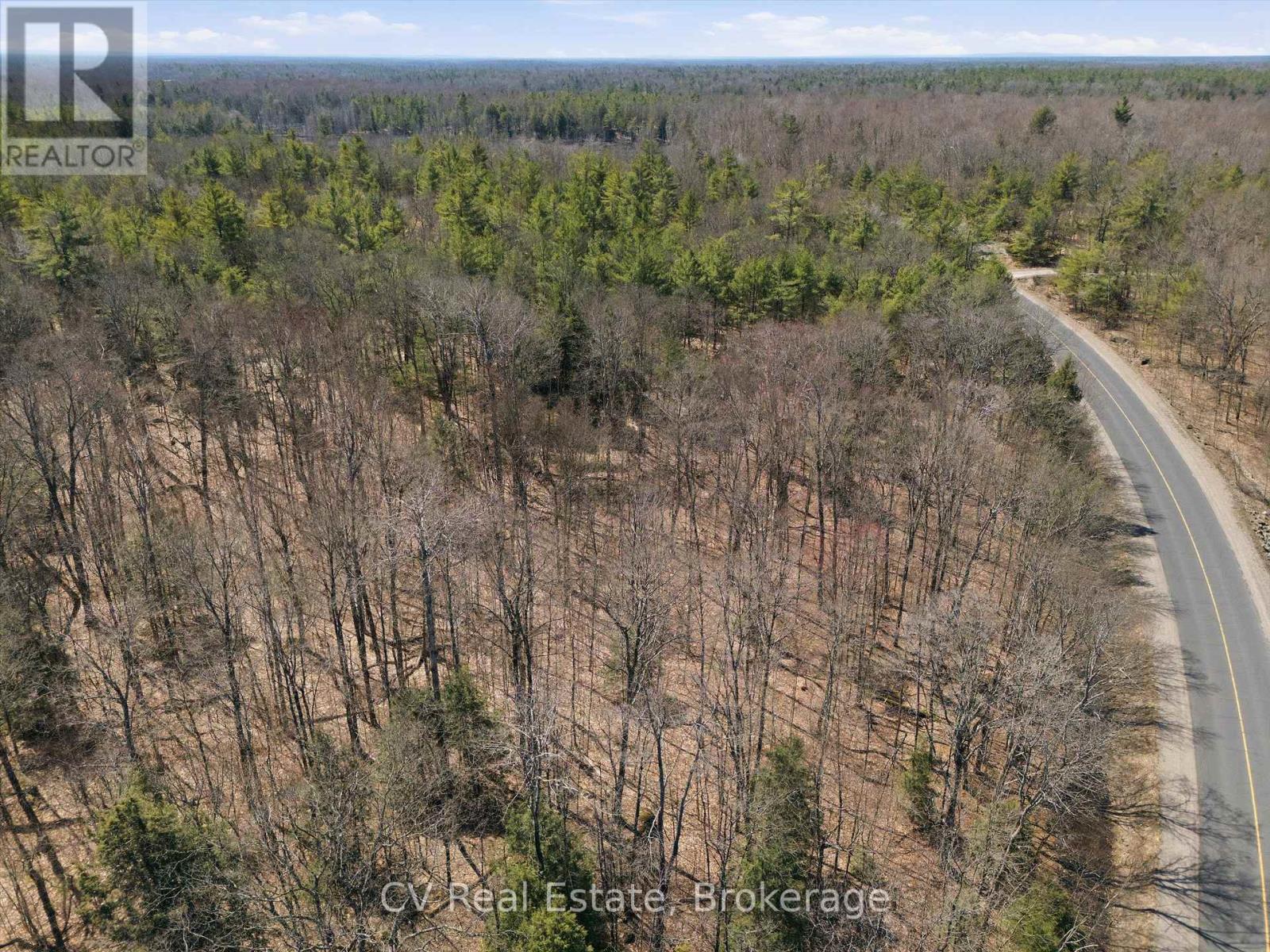 1671 Muskoka Rd 38, Muskoka Lakes, Ontario P0C 1A0 - Photo 2 - X13037850