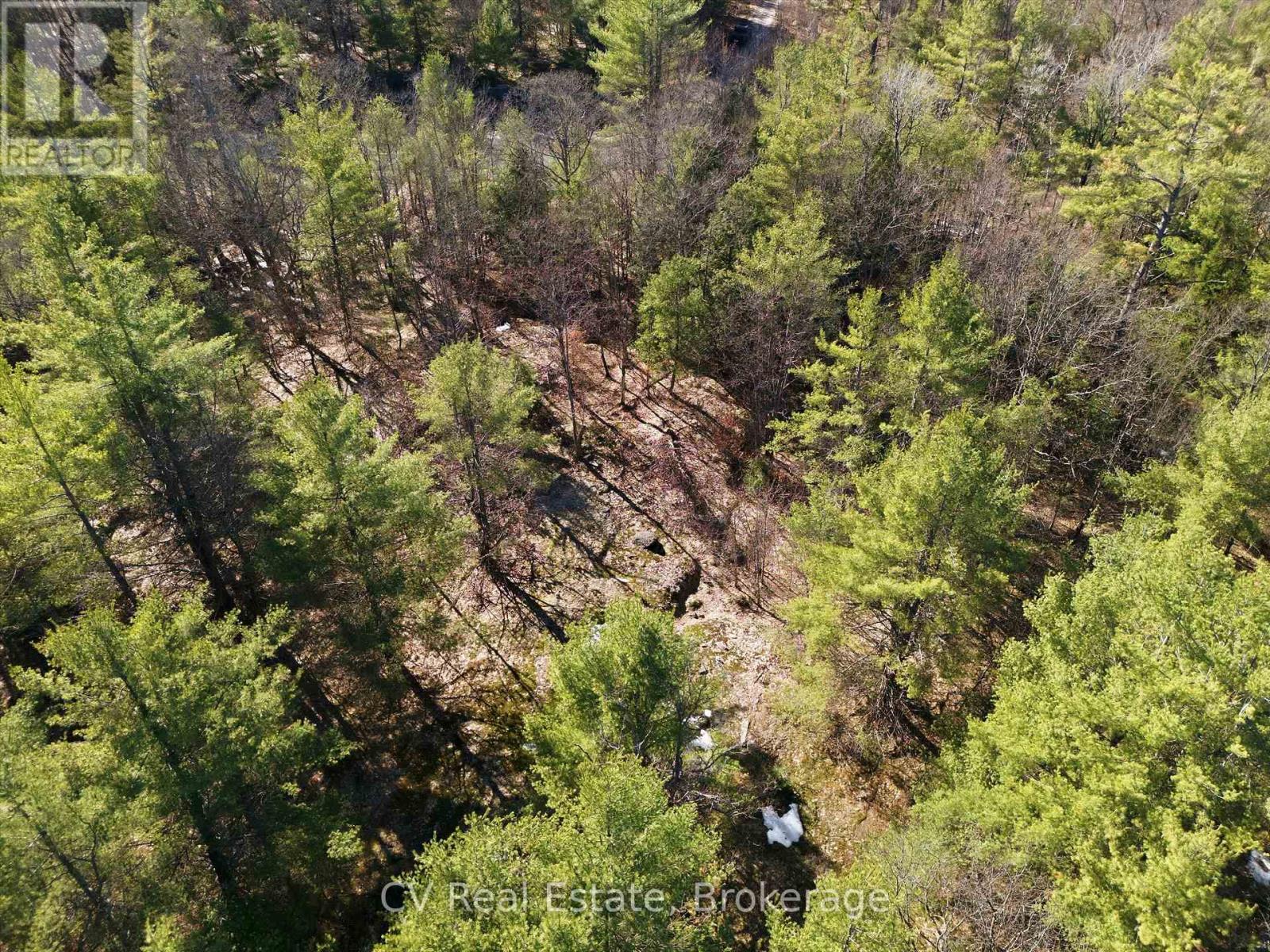 1671 Muskoka Rd 38, Muskoka Lakes, Ontario P0C 1A0 - Photo 22 - X13037850
