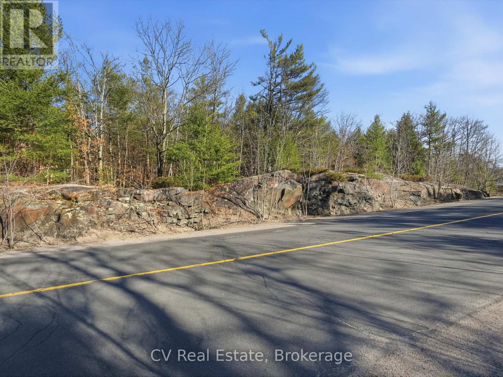 1671 Muskoka Rd 38, Muskoka Lakes, Ontario P0C 1A0 - Photo 24 - X13037850