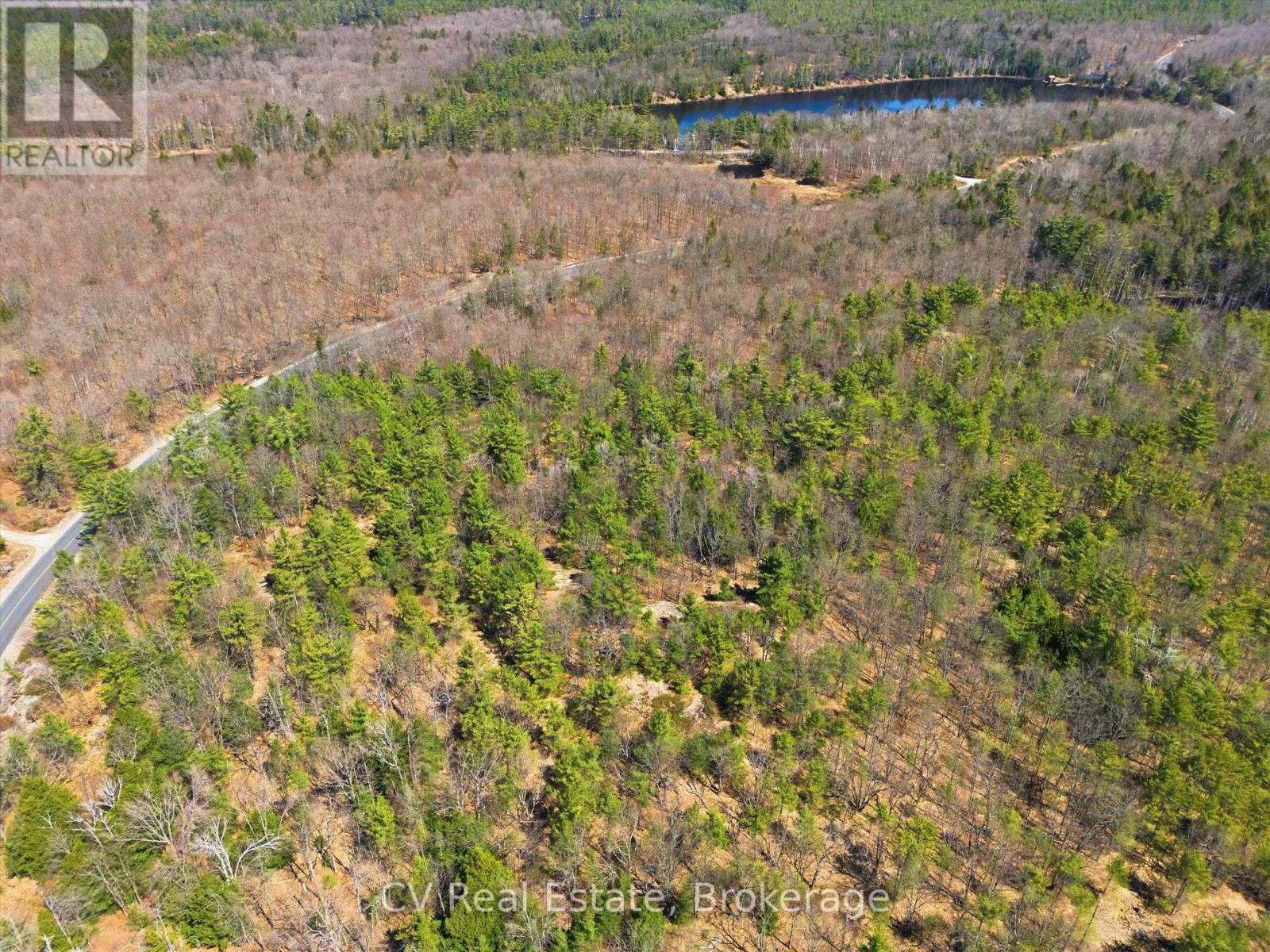 1671 Muskoka Rd 38, Muskoka Lakes, Ontario P0C 1A0 - Photo 3 - X13037850