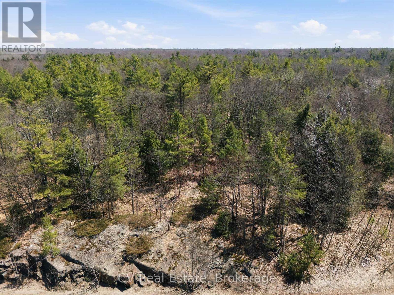 1671 Muskoka Rd 38, Muskoka Lakes, Ontario P0C 1A0 - Photo 4 - X13037850