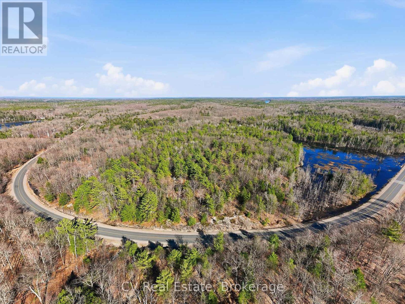 1671 Muskoka Rd 38, Muskoka Lakes, Ontario P0C 1A0 - Photo 6 - X13037850