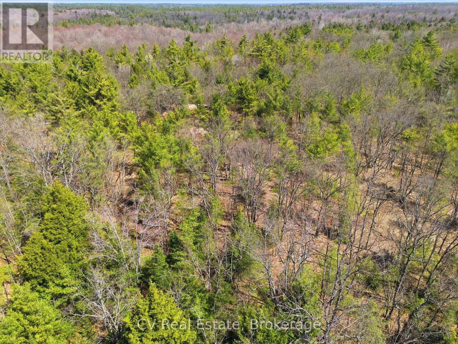 1671 Muskoka Rd 38, Muskoka Lakes, Ontario P0C 1A0 - Photo 8 - X13037850