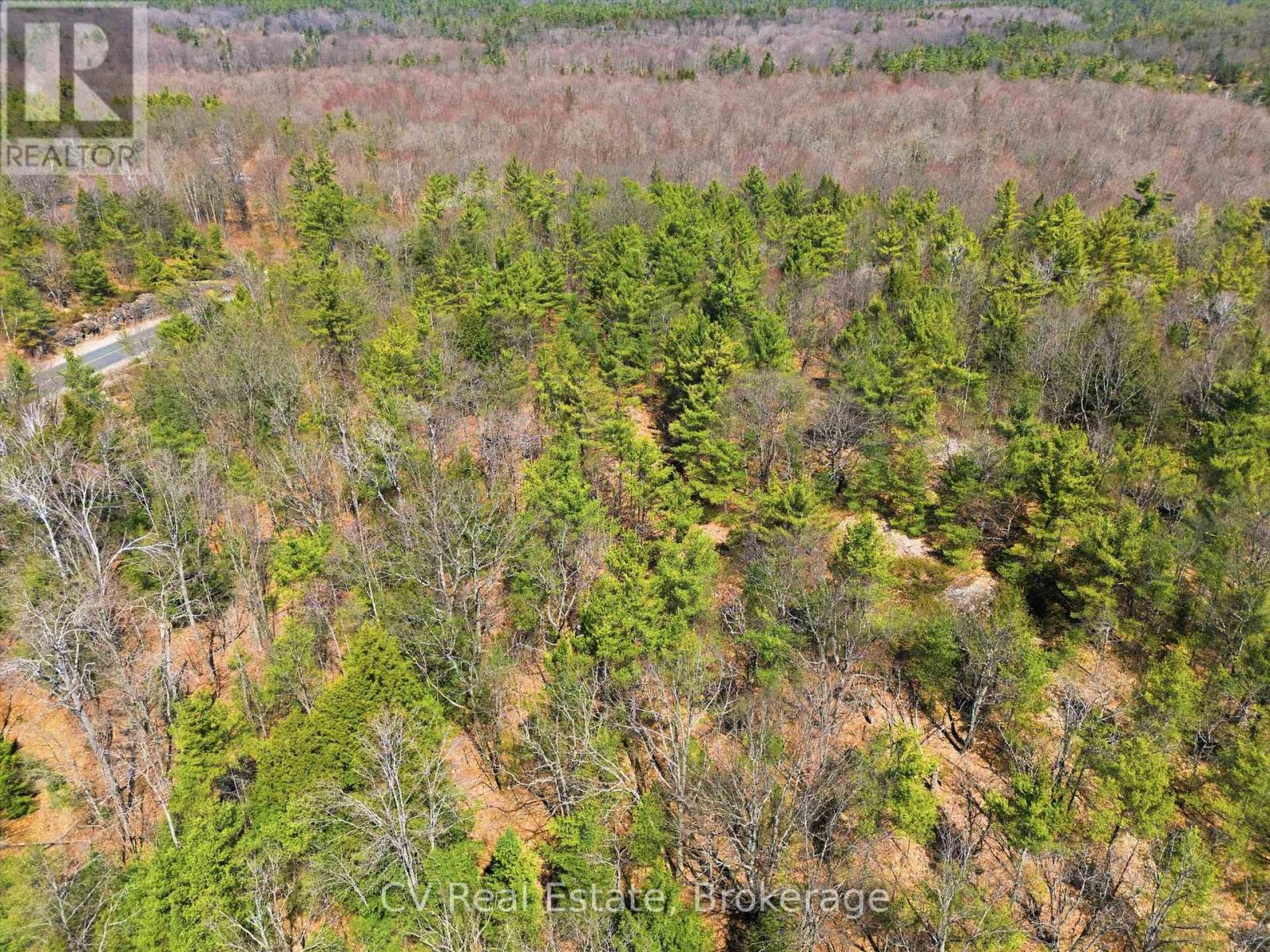 1671 Muskoka Rd 38, Muskoka Lakes, Ontario P0C 1A0 - Photo 9 - X13037850
