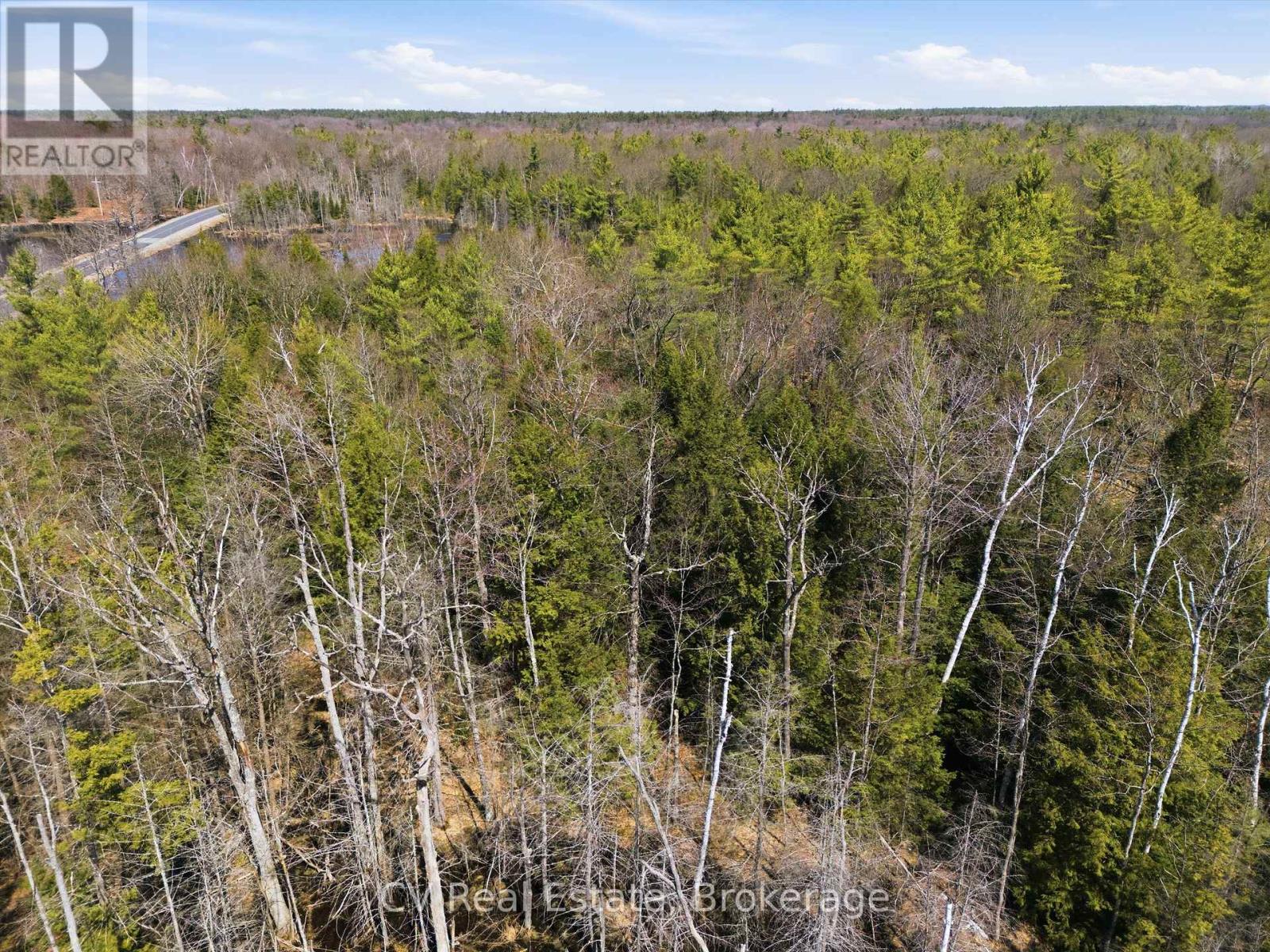 1673 Muskoka Rd 38, Muskoka Lakes, Ontario  P0C 1A0 - Photo 1 - X13037852