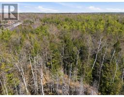 1673 MUSKOKA RD 38, Muskoka Lakes, Ontario