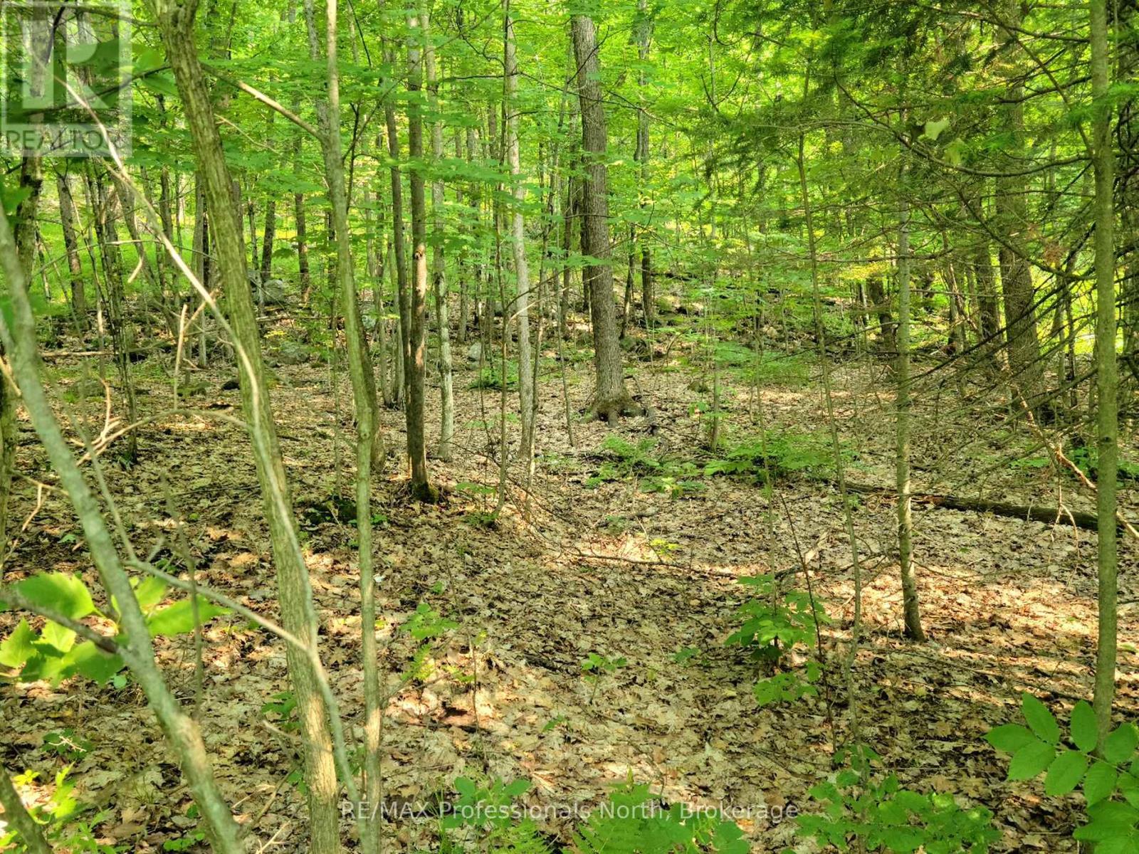22 - 32 Mount Vernon Trail, Huntsville, Ontario P1H 1E3 - Photo 1 - X13039128