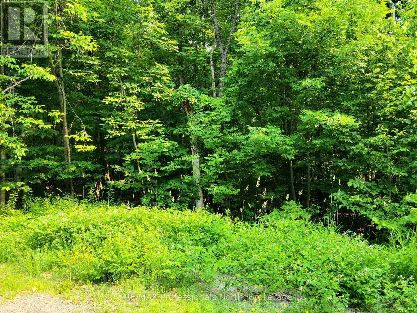 22 - 32 Mount Vernon Trail, Huntsville, Ontario P1H 1E3 - Photo 2 - X13039128