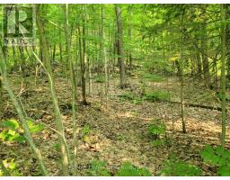 22 - 32 MOUNT VERNON TRAIL, Huntsville, Ontario