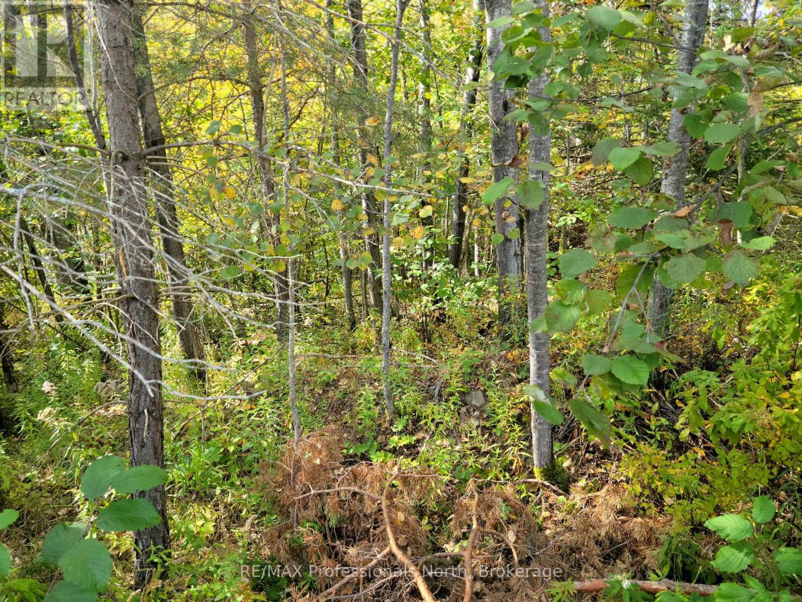 32 - 4 Fox Run Lane, Huntsville, Ontario P1H 1E3 - Photo 1 - X13039130