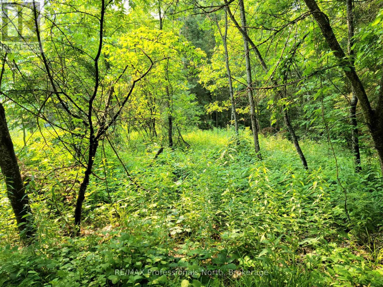 26 - 35 Mount Vernon Trail, Huntsville, Ontario P1H 1E3 - Photo 1 - X13039132