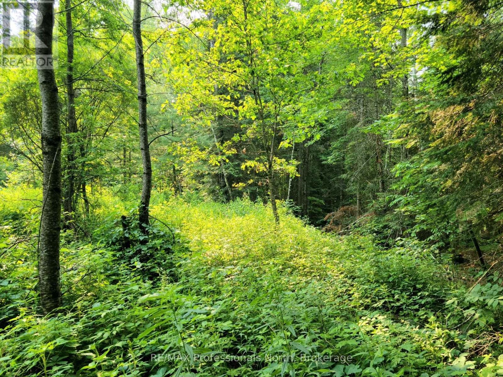 26 - 35 Mount Vernon Trail, Huntsville, Ontario P1H 1E3 - Photo 2 - X13039132