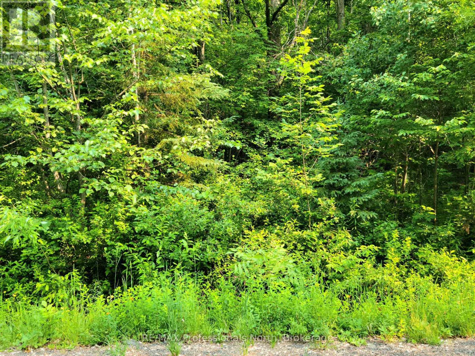 19 - 26 Mount Vernon Trail, Huntsville, Ontario P1H 1E3 - Photo 1 - X13039134