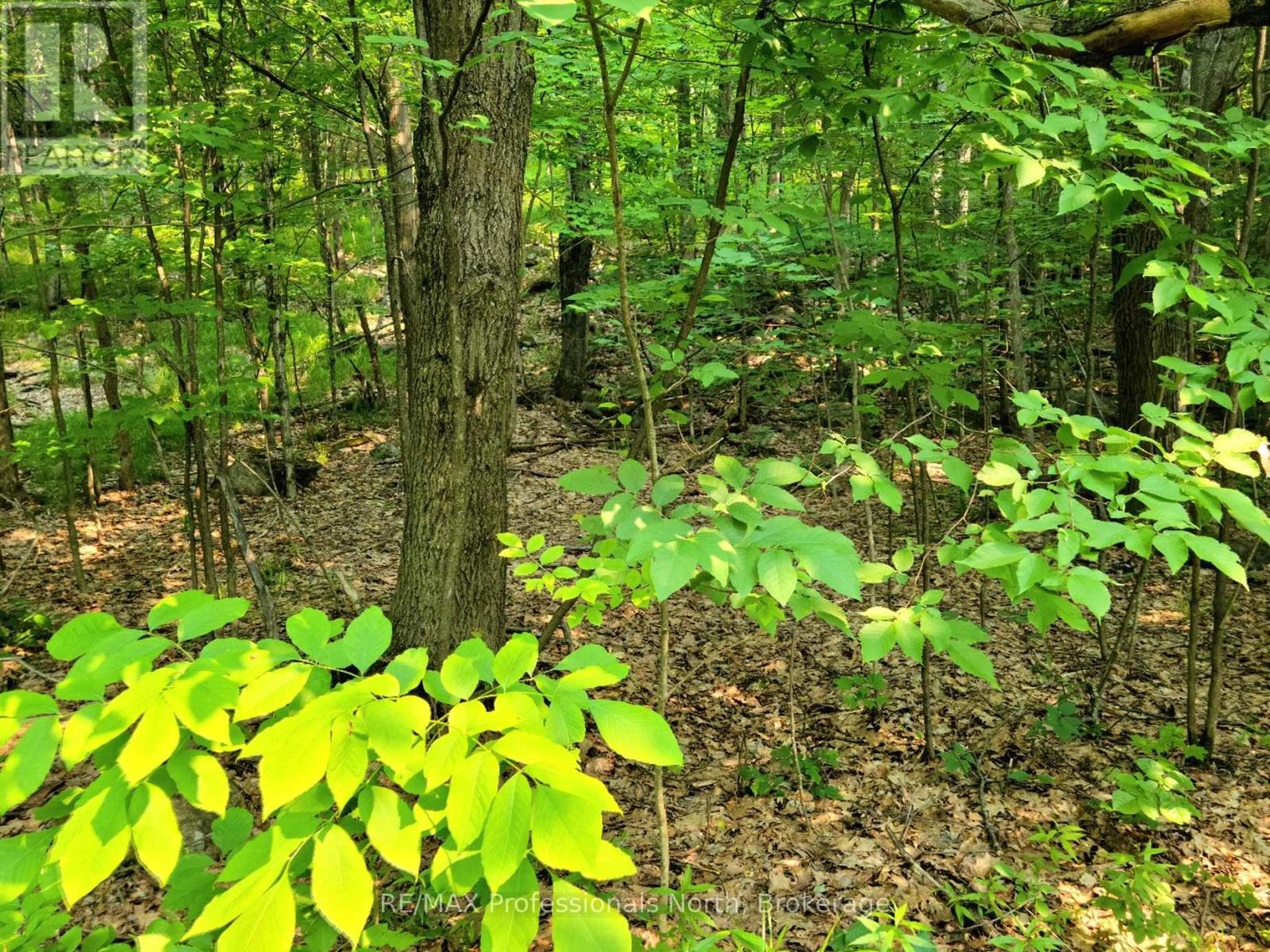 19 - 26 Mount Vernon Trail, Huntsville, Ontario P1H 1E3 - Photo 2 - X13039134