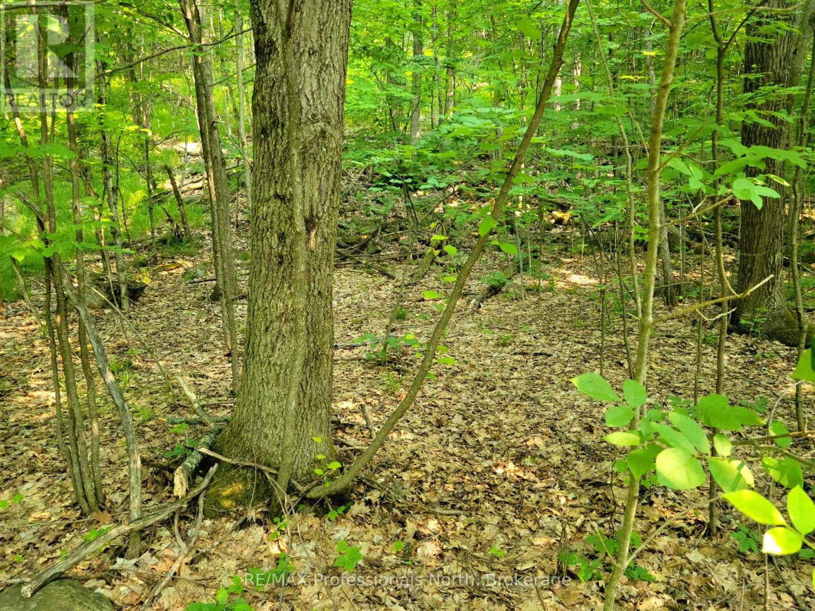 19 - 26 Mount Vernon Trail, Huntsville, Ontario P1H 1E3 - Photo 3 - X13039134