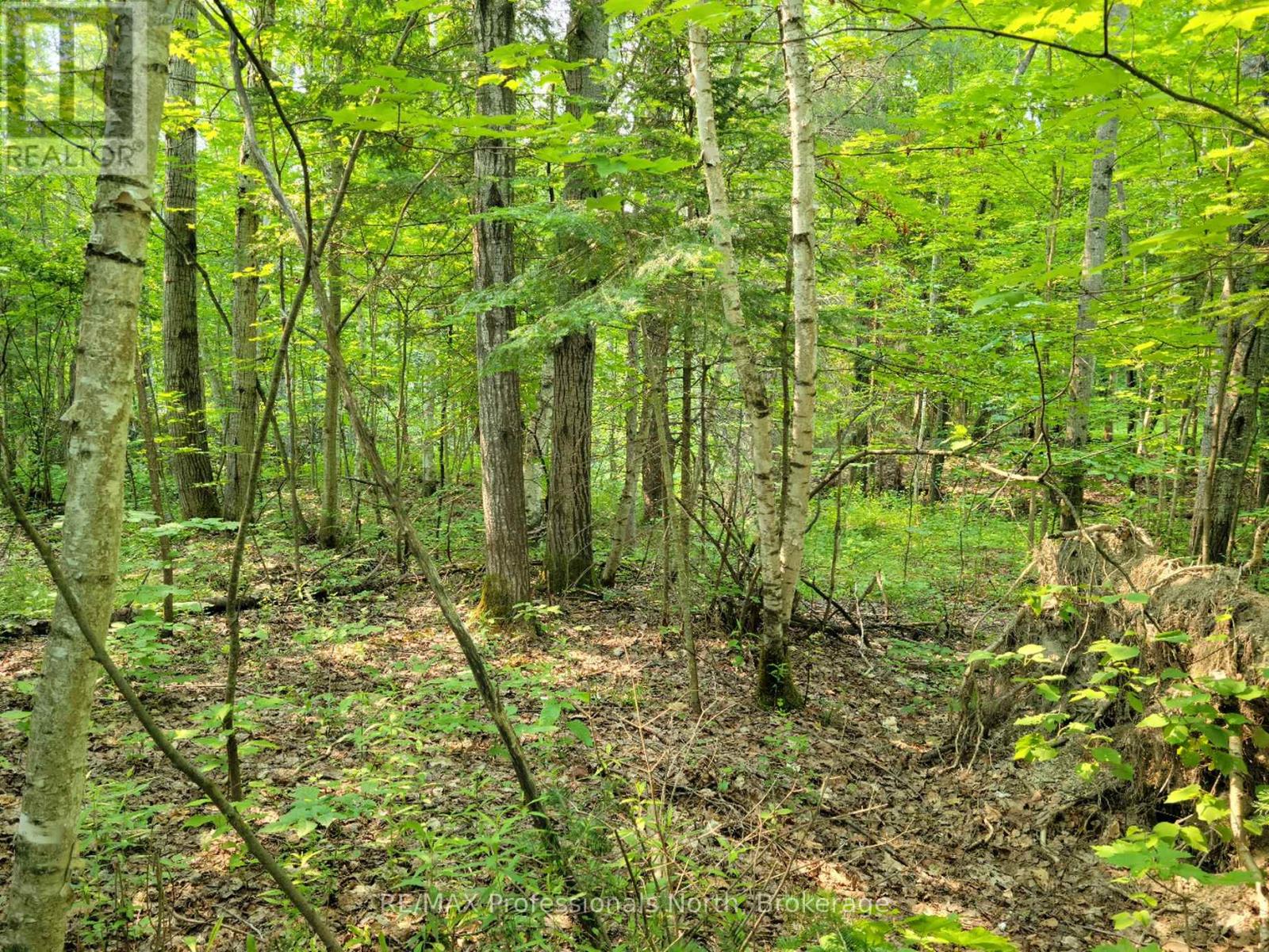 29 - 29 Mount Vernon Trail, Huntsville, Ontario P1H 1E3 - Photo 1 - X13039136