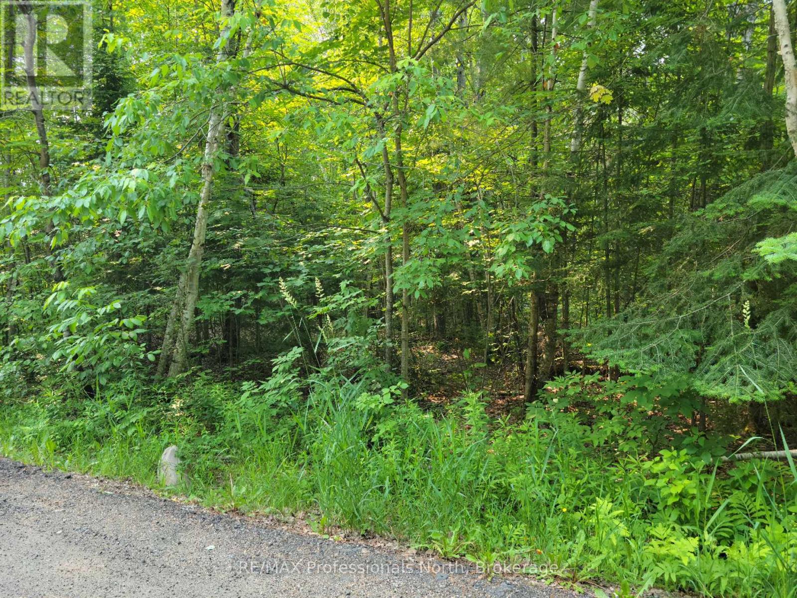 29 - 29 Mount Vernon Trail, Huntsville, Ontario P1H 1E3 - Photo 3 - X13039136