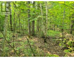 29 - 29 MOUNT VERNON TRAIL, Huntsville, Ontario