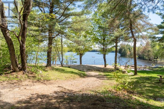 701 - 1047 Bonnie Lake Camp Road, Bracebridge, Ontario P1L 1W9 - Photo 19 - X13045518