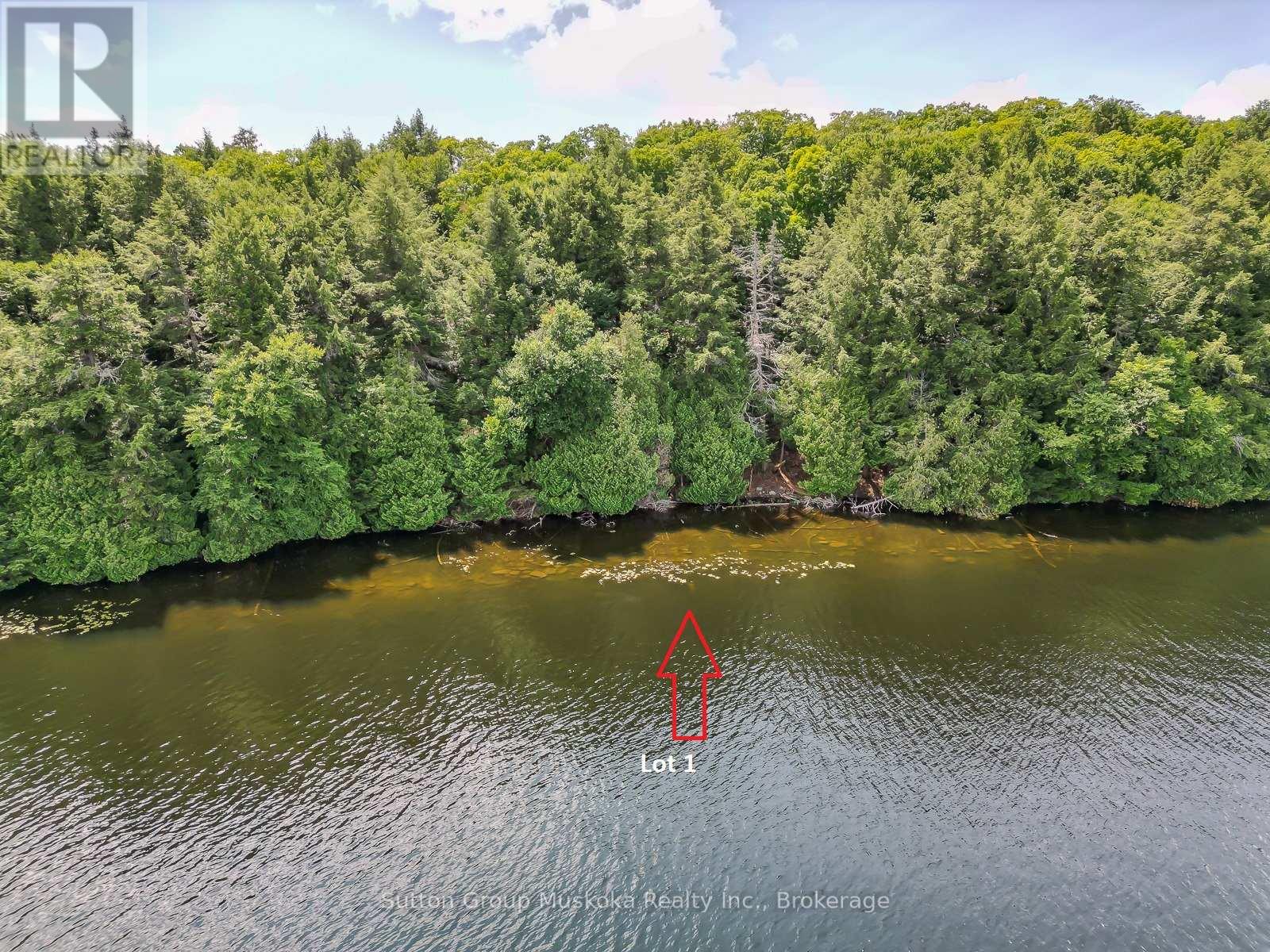 Lot 1 Esig Lane, Lake Of Bays, Ontario  P1H 2J6 - Photo 1 - X13052862