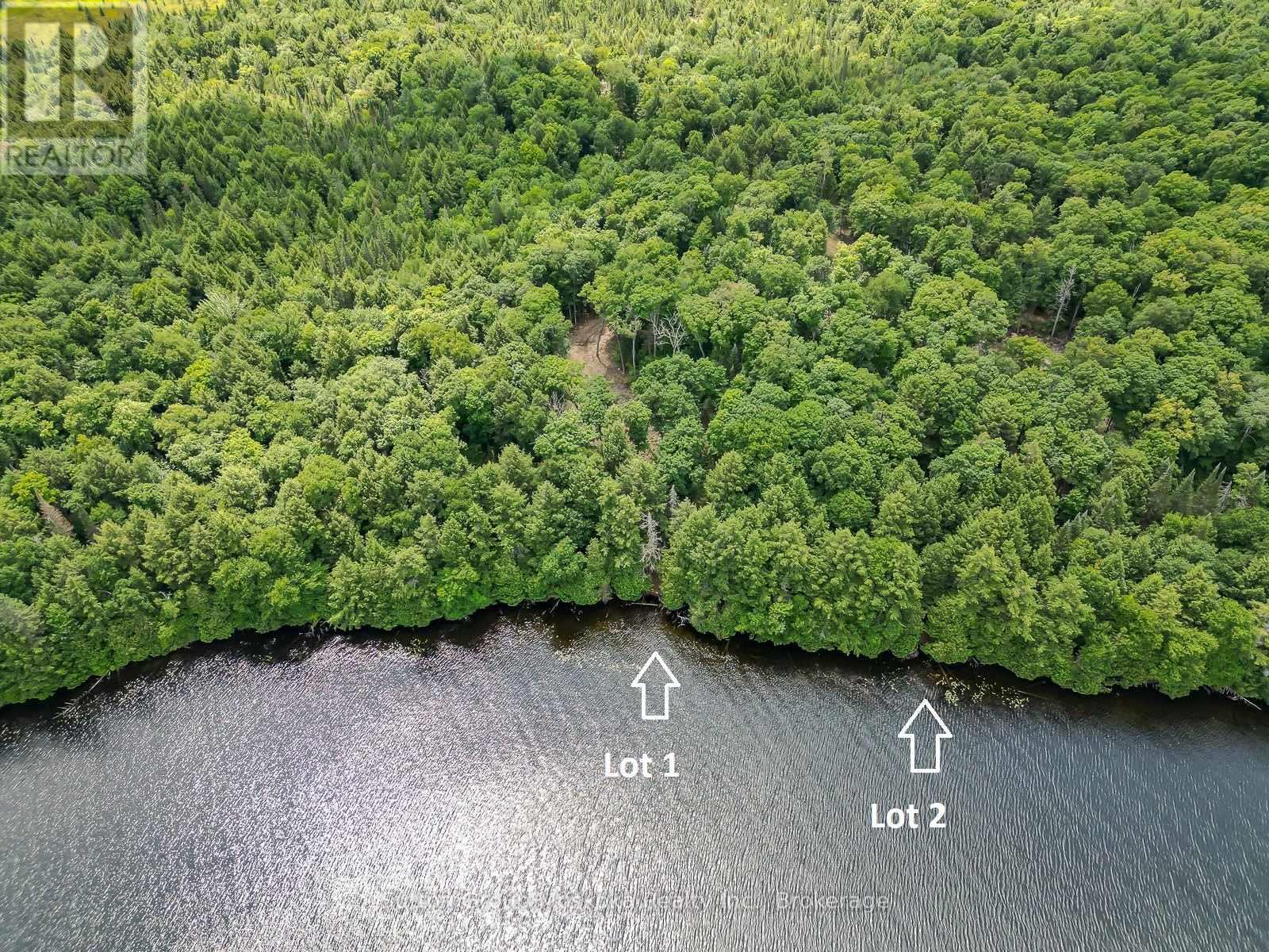Lot 2 Esig Lane, Lake Of Bays, Ontario  P1H 2J6 - Photo 11 - X13053716