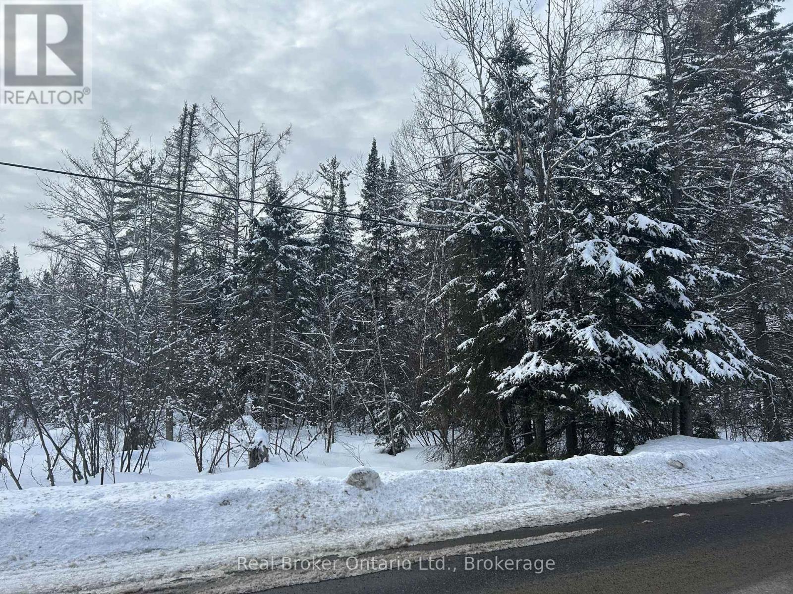Pt Lt 16 Barkway Road, Gravenhurst, Ontario  P1P 1R3 - Photo 7 - X13059858