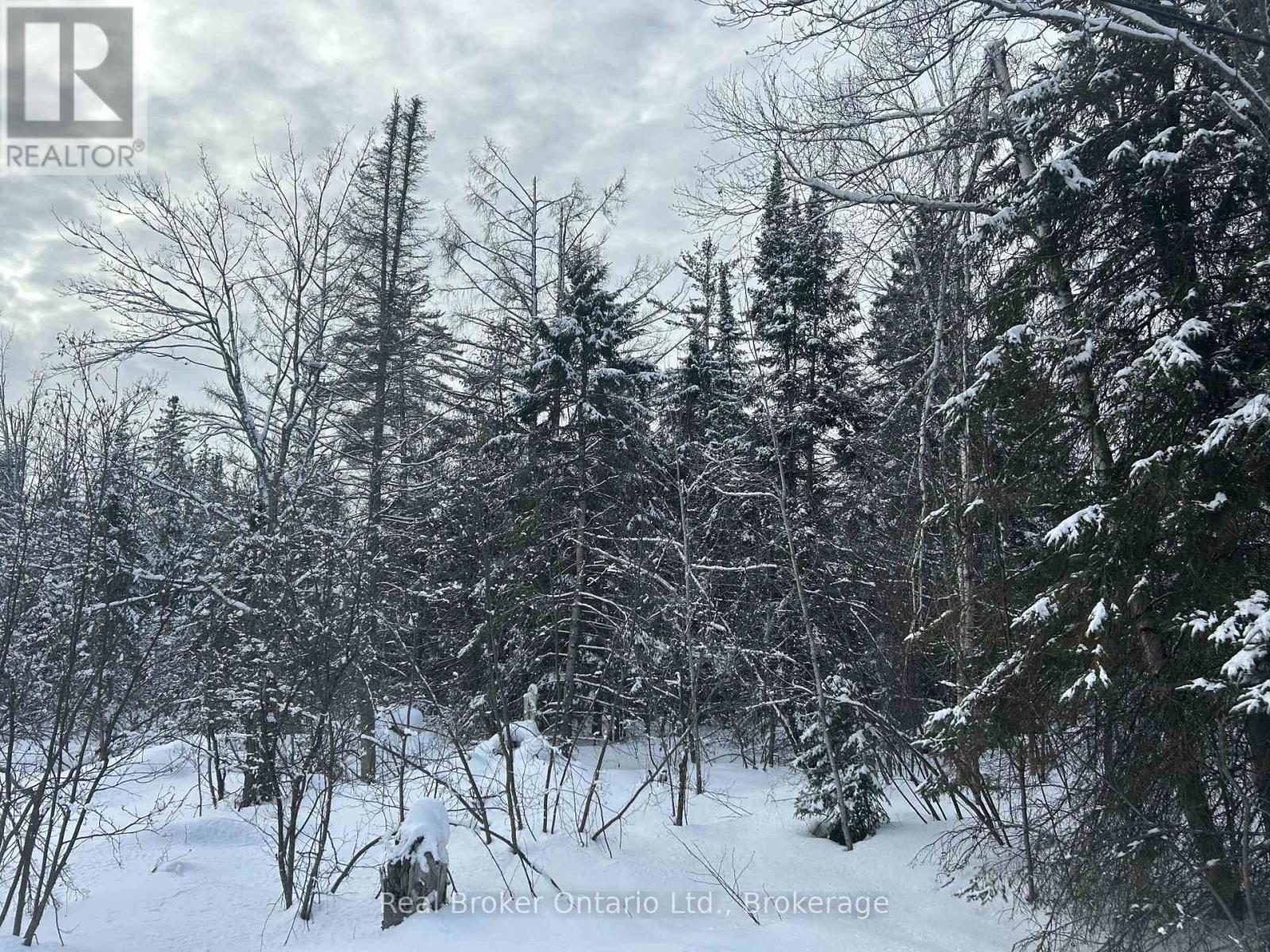 Pt Lt 16 Barkway Road, Gravenhurst, Ontario  P1P 1R3 - Photo 8 - X13059858