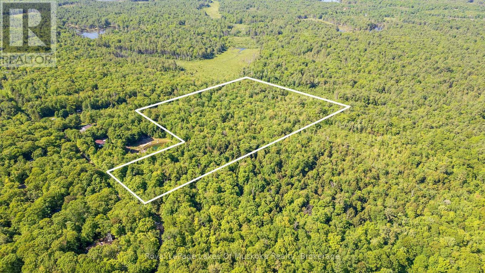 1061 South Muldrew Lake Road, Gravenhurst, Ontario  P0E 1G0 - Photo 1 - X13061878