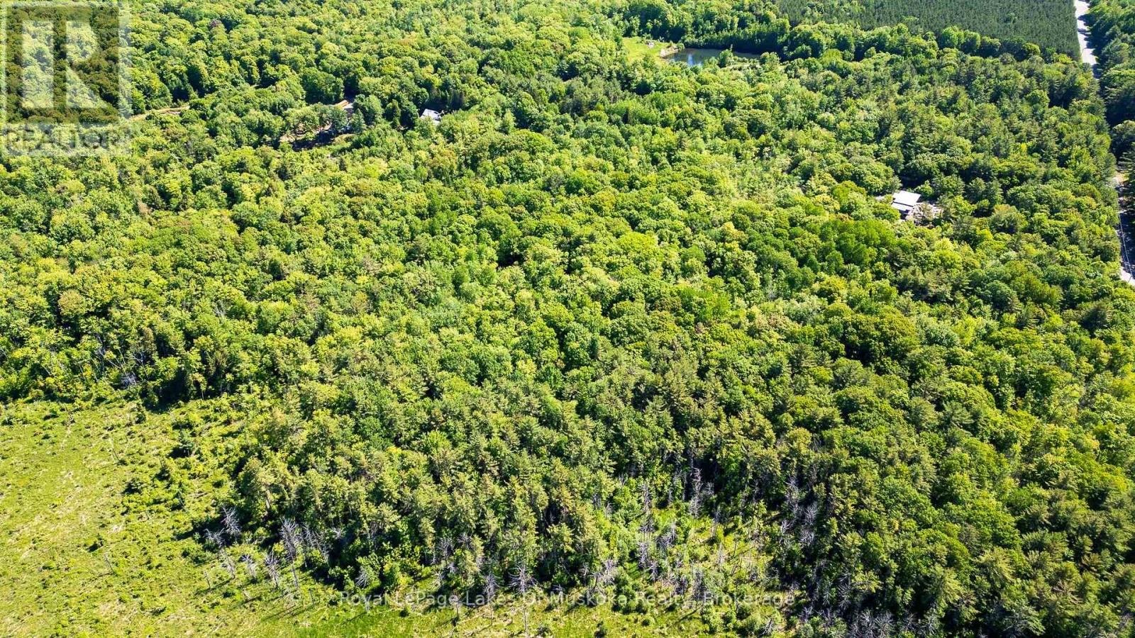 0 Southwood Road, Gravenhurst, Ontario  P0E 1G0 - Photo 13 - X13061880