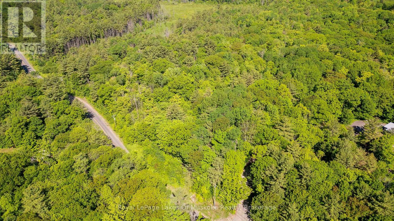0 Southwood Road, Gravenhurst, Ontario  P0E 1G0 - Photo 3 - X13061880