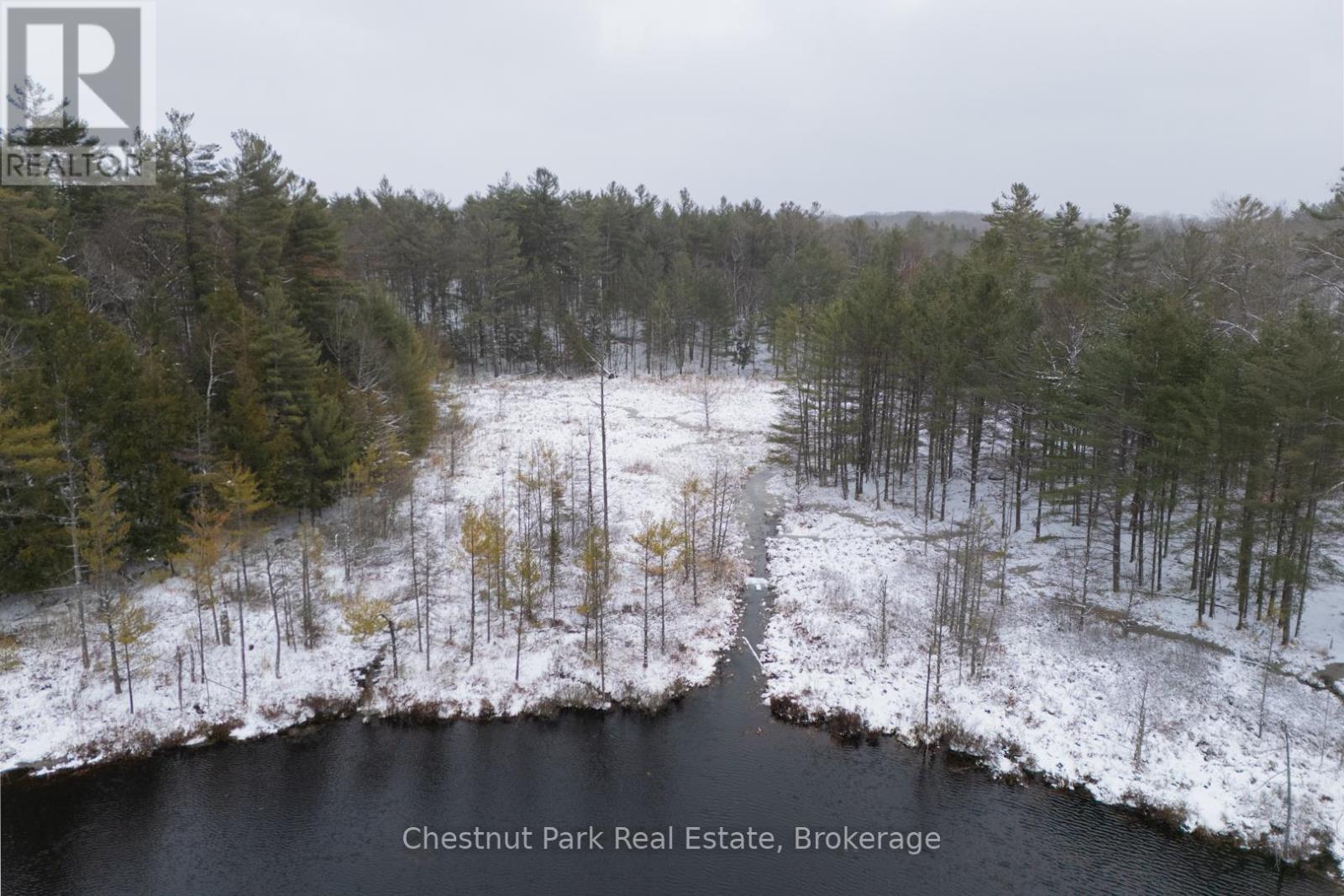 Pt Lt 33 Con 2 (Pt 2) Muskoka 118 Road W, Muskoka Lakes, Ontario  P0B 1J0 - Photo 15 - X13075362