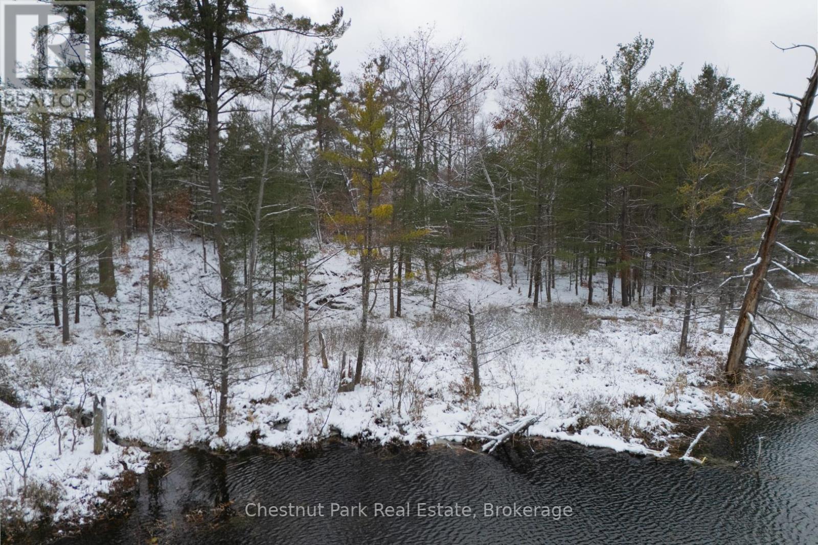 Pt Lt 33 Con 2 (Pt 2) Muskoka 118 Road W, Muskoka Lakes, Ontario  P0B 1J0 - Photo 31 - X13075362