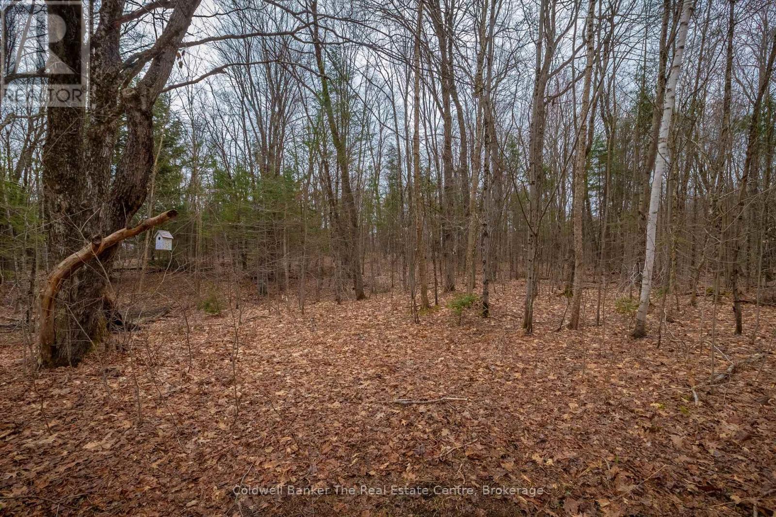 3016 118 Highway, Bracebridge, Ontario  P1L 1X1 - Photo 34 - X13082550