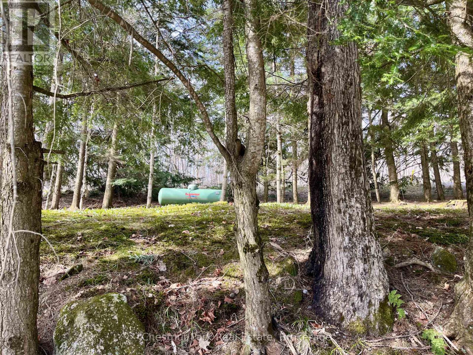 1124 Sunset Bay Road, Muskoka Lakes, Ontario  P0B 1J0 - Photo 8 - X13083574