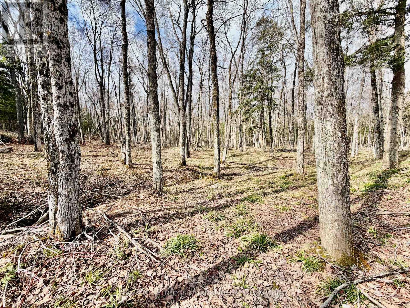 2388 Doe Lake Road, Gravenhurst, Ontario  P1P 1R3 - Photo 17 - X13091212