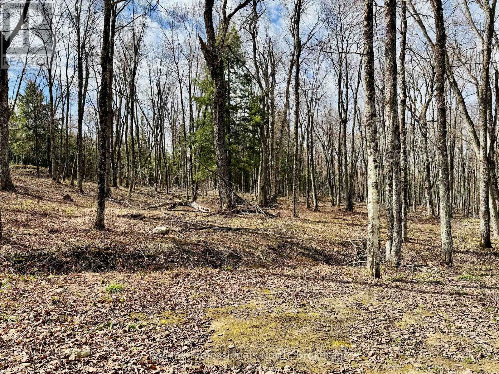 2388 Doe Lake Road, Gravenhurst, Ontario  P1P 1R3 - Photo 19 - X13091212