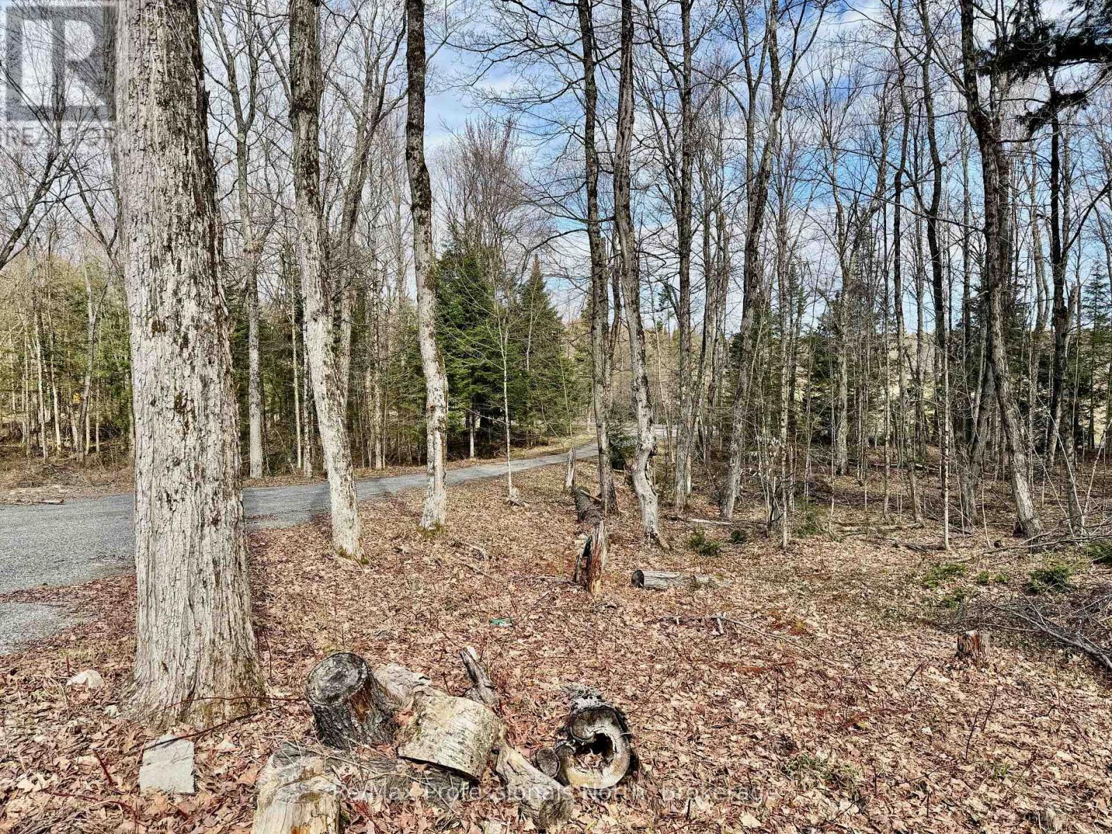 2388 Doe Lake Road, Gravenhurst, Ontario  P1P 1R3 - Photo 33 - X13091212