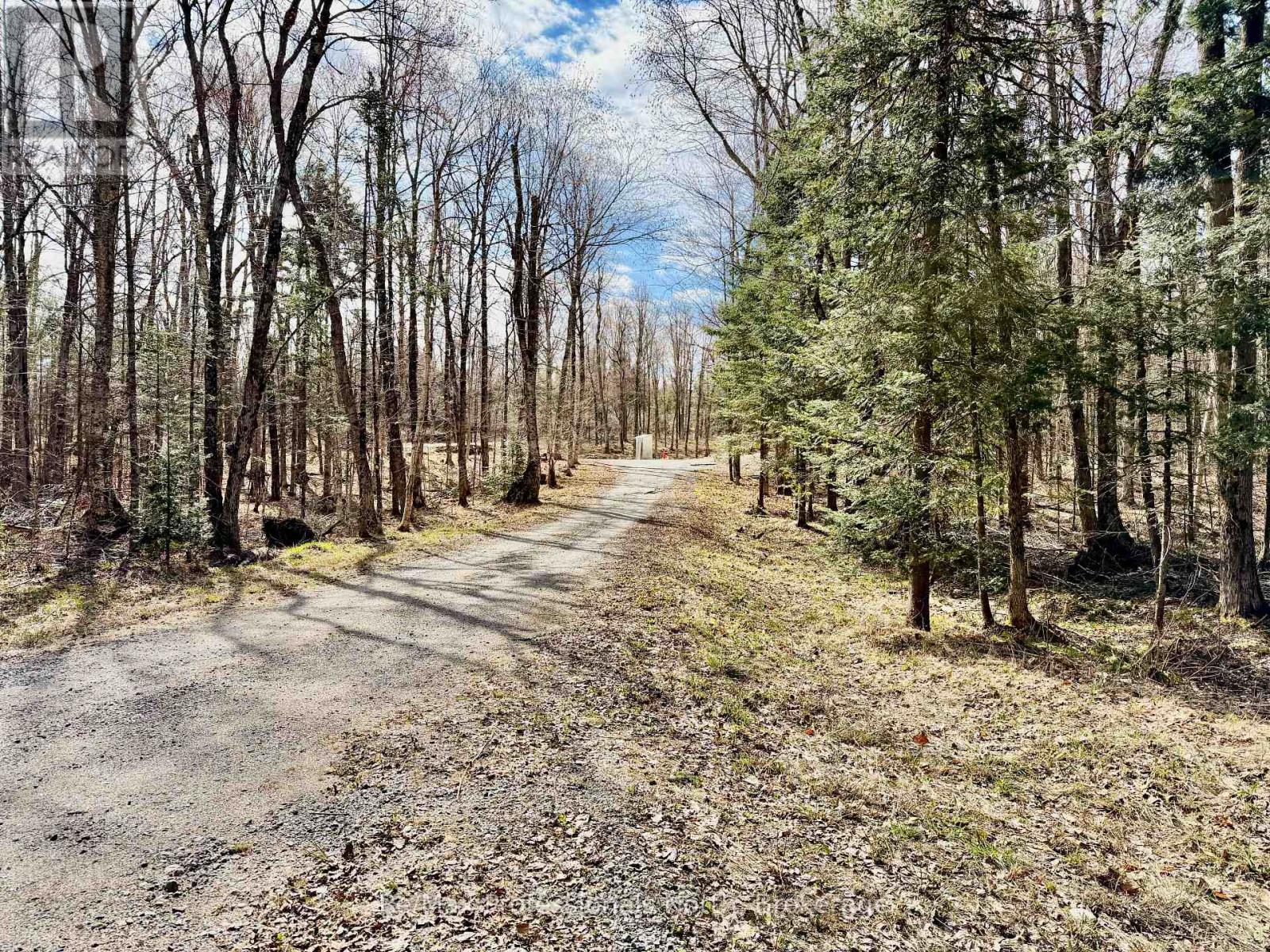 2388 Doe Lake Road, Gravenhurst, Ontario  P1P 1R3 - Photo 5 - X13091212