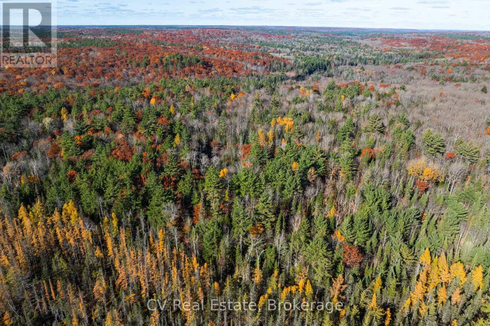 0 Fairy Falls Road, Lake Of Bays, Ontario  P0B 1A0 - Photo 17 - X13093016